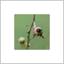 blickwerk  sanneblessing