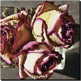 blickwerk  sanneblessing