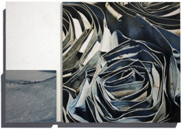 blickwerk  sanneblessing