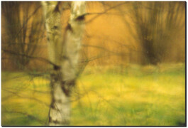 blickwerk  sanneblessing