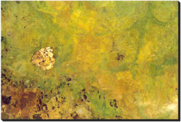 blickwerk  sanneblessing