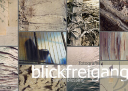 blickwerk  sanneblessing