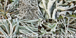 blickwerk  sanneblessing