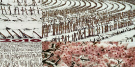 blickwerk  sanneblessing