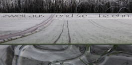 blickwerk  sanneblessing