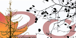 blickwerk  sanneblessing