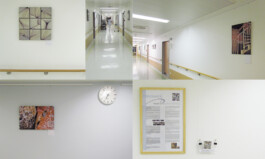 blickwerk  sanneblessing