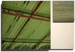 blickwerk  sanneblessing