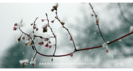 blickwerk  sanneblessing