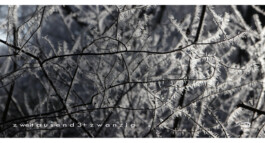 blickwerk  sanneblessing