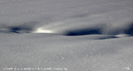 blickwerk  sanneblessing