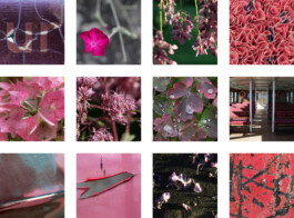 blickwerk  sanneblessing