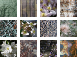 blickwerk  sanneblessing