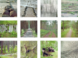 blickwerk  sanneblessing